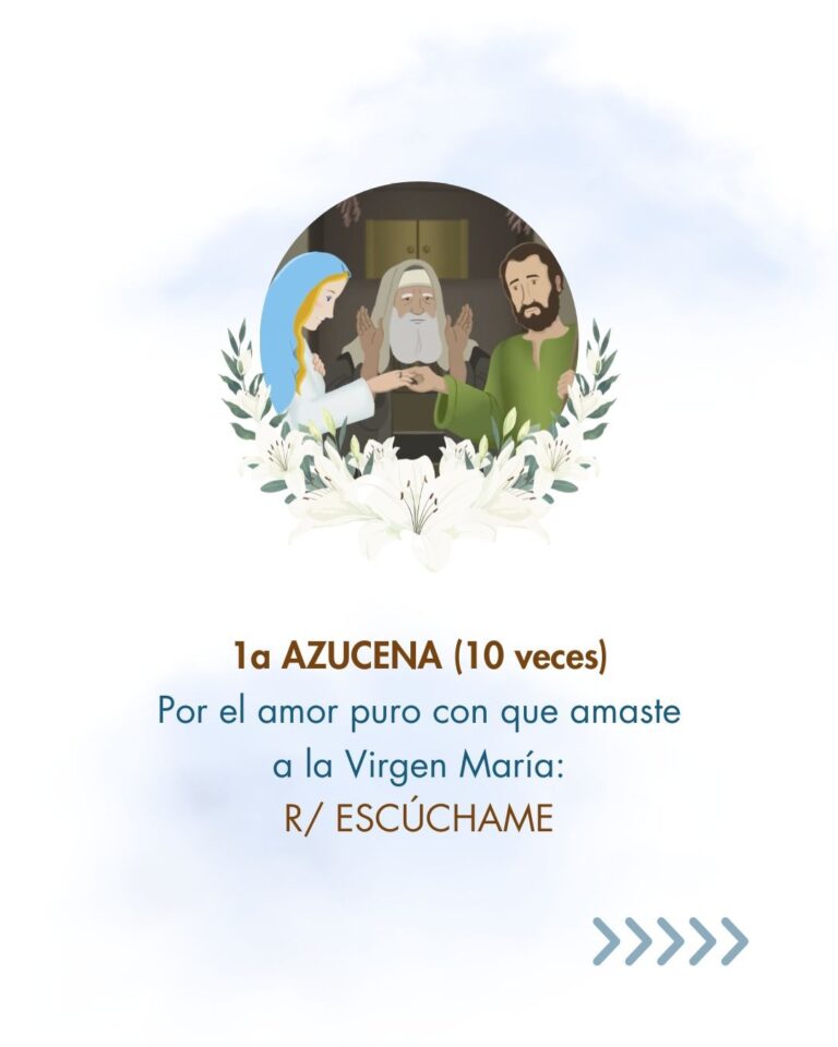 Azucenas a San José 02